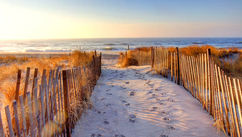 Every Day Is a Fresh Start and What Will You Do With Yours