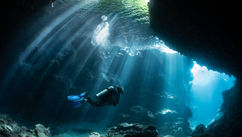 Turtles, Mantas & BMW – What Scuba Diving Can Teach Us About Success in Business & Life