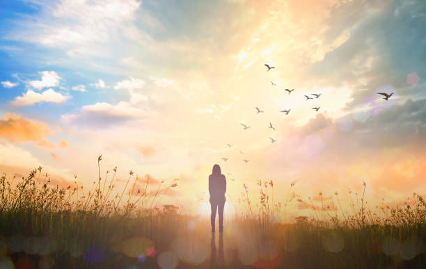 The photo depicts a silhouette of a person standing in a field at sunrise or sunset, gazing towards a radiant sky filled with golden light and scattered clouds.