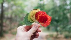 What the Changing Season Can Teach Us About Regulating Our Nervous System