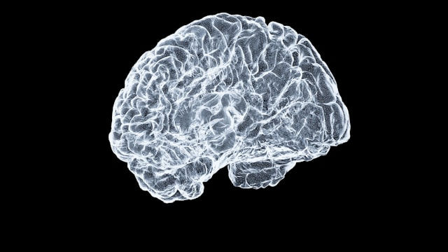 White outline of a human brain on a black background. The intricate neural pathways are vividly detailed, creating a high-contrast, cerebral effect.