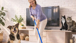 Hidden Household Toxins and How to Create a Cleaner, Safer Home for You and Your Pet