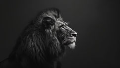 Masculinity & Mental Health – Breaking the Silence Without Breaking Your Edge