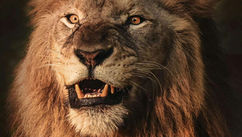Let The Lion Roar – How Anger Becomes Medicine for Emotional Healing