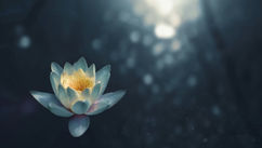 How to Reconnect with Yoga's Deeper Purpose with These 5 Gentle Reminders