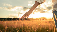 From the Garden to the Heart – Our Desires and the Cost of Avoiding Truth
