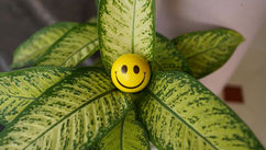How to Become a Better Person and Radiate Positive Energy