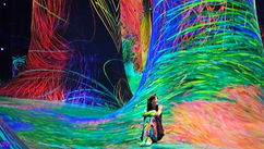 Color Up Your Life