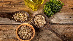 Is CBD the Next Superfood? The Science Behind Cannabis as a Functional Wellness Ingredient