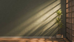 Can Red Light Therapy Heal Your Gut and Brain & Can Light Have Such a Profound Effect?