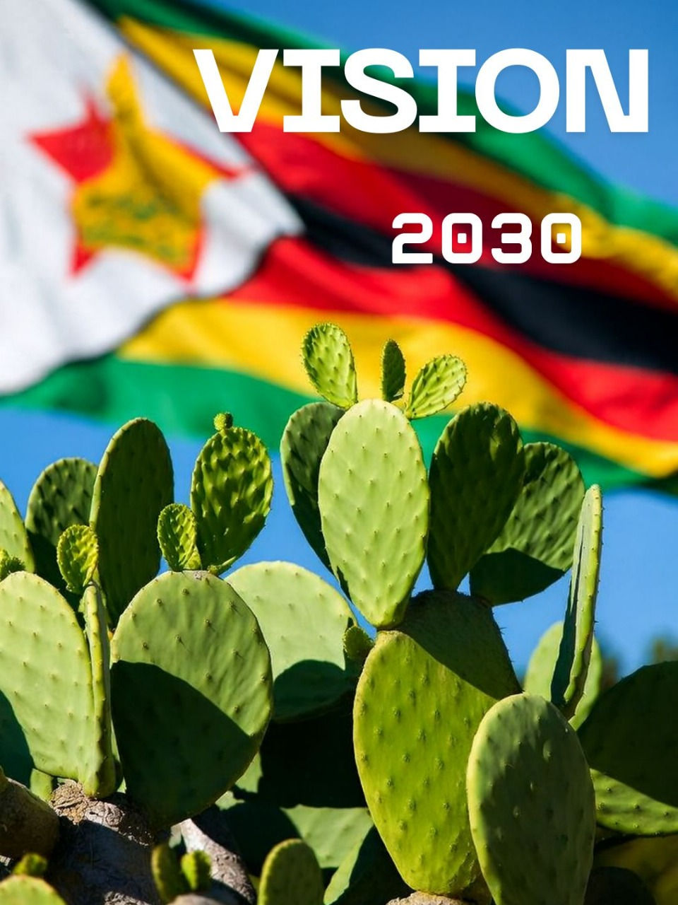 Cactus against a backdrop of a waving Zimbabwean flag. Text reads "VISION 2030" in bold white letters, with a clear blue sky.