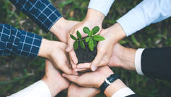 My Story of Merging Profit with Green Entrepreneurship