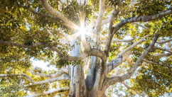 From Lack To Abundance – Why Hate Blocks Our Capacity To Love