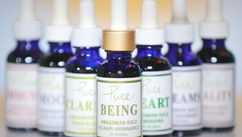 How Natural Plant Medicines Are Helping Us Heal in a Modern World