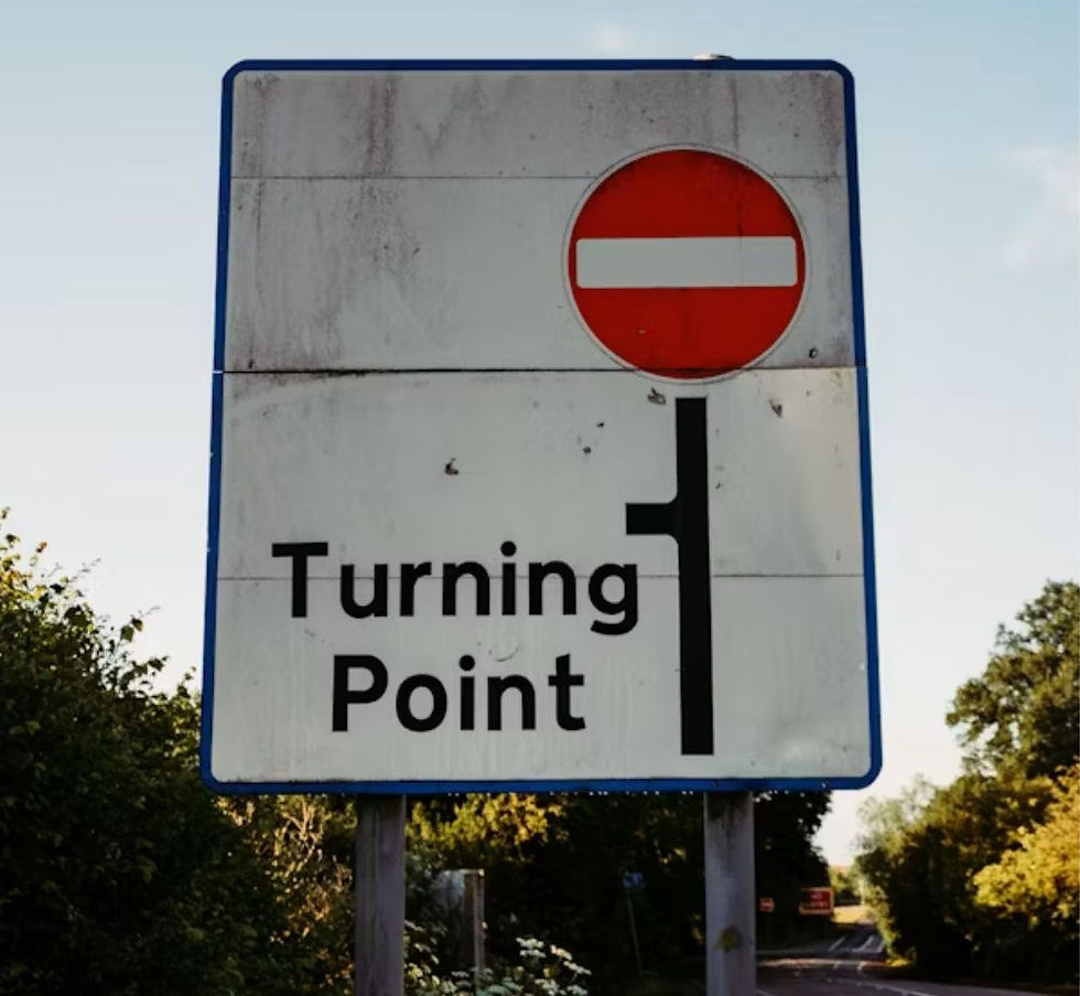 Road sign with "Turning Point" text and a no-entry symbol. Set against a rural background with greenery under a clear sky.