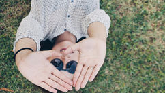 Understanding Neurodiversity Through a Relational Lens