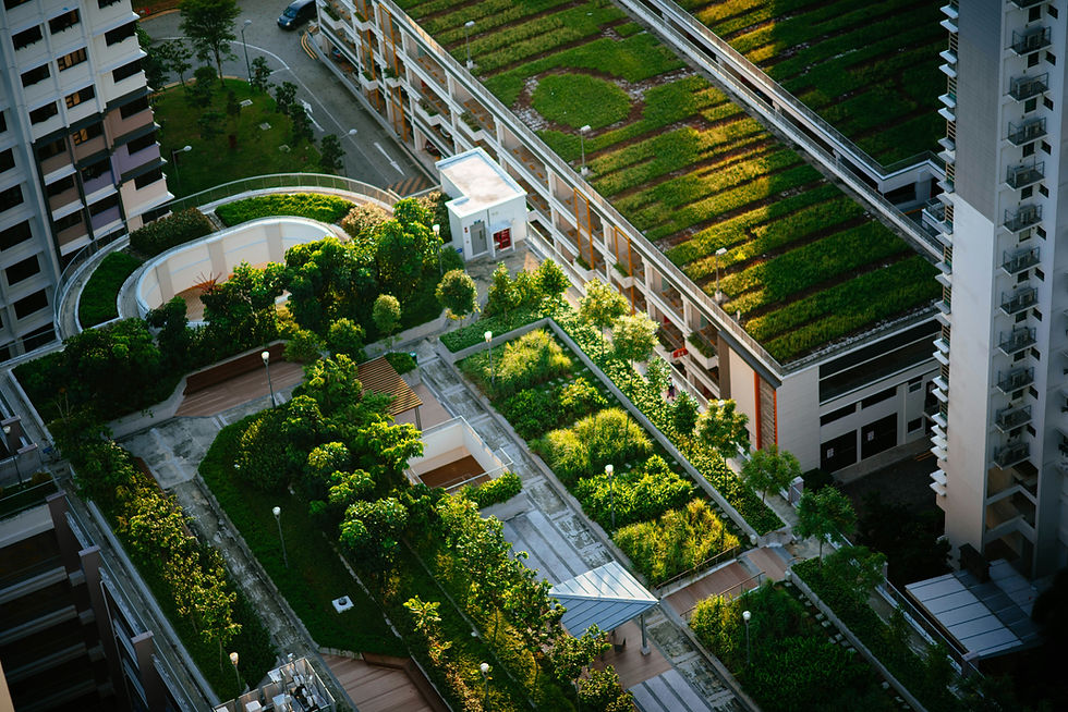 Rooftop gardens with lush greenery on buildings, sunlight casting shadows, street visible below. Urban greenery, peaceful atmosphere.