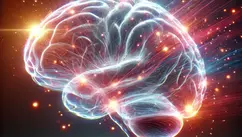 The Neuroscience of Authentic Communication and its Impact on Our Brain and Relationships
