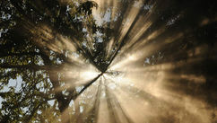 A Healing Journey Through Intuition, Crystals, and the Wisdom of the Body