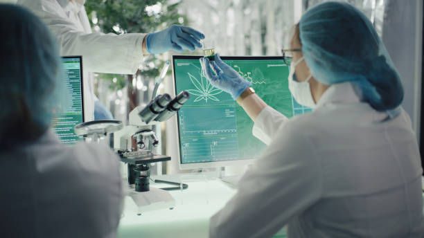 Scientists in lab coats and masks analyze a specimen with a microscope. Monitors show cannabis images. Bright, clinical setting.
