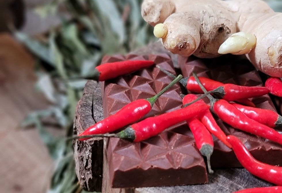The photo features a textured dark chocolate bar topped with vibrant red chili peppers, placed on a rustic wooden surface. A fresh ginger root.