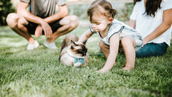 5 Ways to Spend Quality Time With Your Kids and Pets When Newly Divorced
