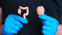 How the Hidden Gut-Brain Conversation Shapes Aging and Longevity