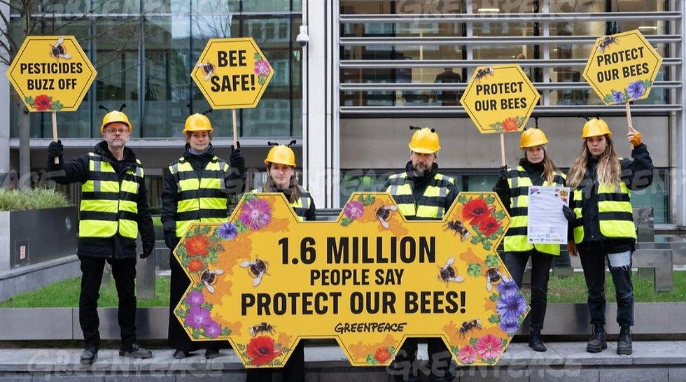 Protestors in yellow vests hold bee-themed signs: "Protect Our Bees," in an urban setting. Central sign: "1.6 million people say protect our bees!"