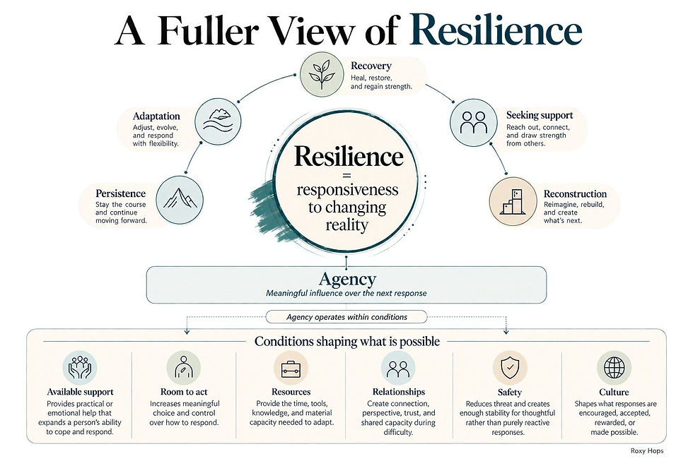 Infographic titled A Fuller View of Resilience showing resilience, agency, and factors like recovery, support, safety, and culture.