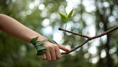 What if Reconnecting With Nature Can Help You Reconnect With Yourself?