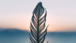 What If Your Healing Is Stuck Because You’re Still Trying to Fix Yourself?