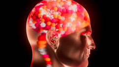 Five Ways Your Brain Can Learn Something New