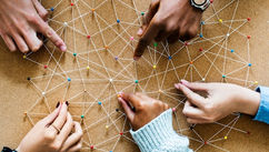 Mastering the Trust Factor and How Great Leaders Build Connection and Credibility