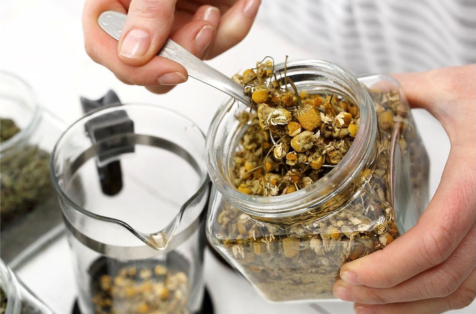 A person is scooping dried chamomile flowers from a glass jar into a French press for herbal tea preparation.