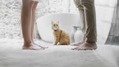 Mediating Divorce in the New Year – Why January Is an Ideal Time for a More Peaceful Approach