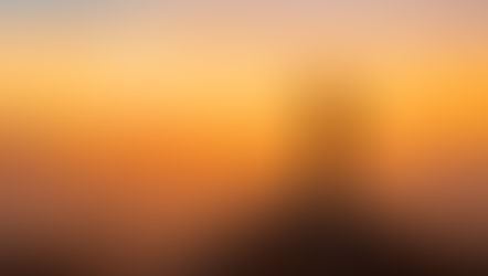 How to Access Your Fullest Human Potential and Cultivate Intent, Instinct, and Intuition