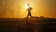 The Zone 2 Paradigm – Why Elite Endurance Performance Is Built at Low Intensity
