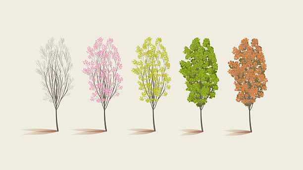 Five trees illustrate seasons, from bare branches to vibrant pink, yellow, green, and orange leaves, against a beige background.