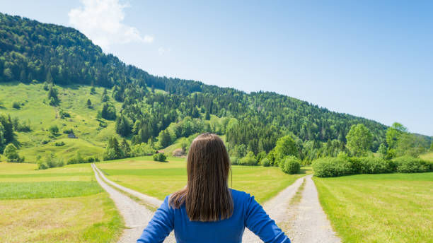 Person in blue shirt stands at a forked dirt path in a green meadow, facing forested hills under a clear blue sky.