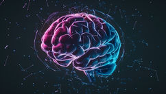 What Are You Feeding Your Second Brain – The Microbiome?