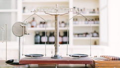 The Physiology of Precision in Herbalism and Why Clarity is a Biological Requirement