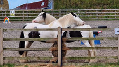 The Gate Was Never Locked – They Just Needed to Know They Could Walk Through It
