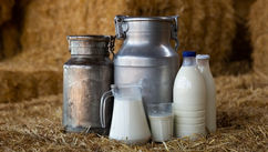 What Your Milk Can Tell You About the Future of Conscious Parenting