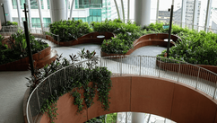 Biophilic Design – How To Bring Nature Into Your Projects