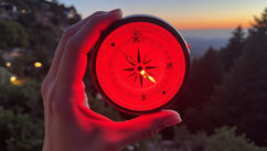 The Hidden Power of Mentorship – How the Right Guide Accelerates Your Evolution