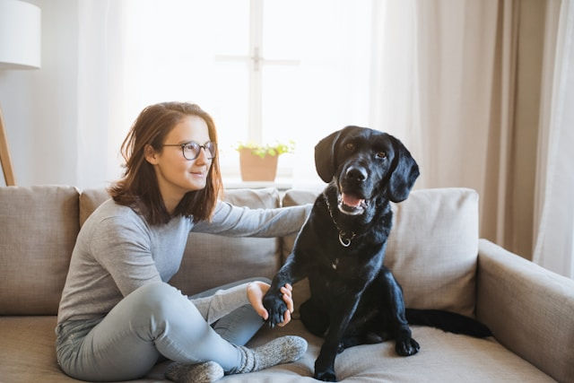 Teenage girl sitting on sofa playing with her black dog
