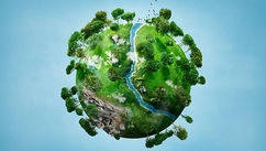 The Work That Reconnects and a Path Back to the Earth