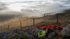 Coming Home to Nature Through the Healing Power of Ecotherapy