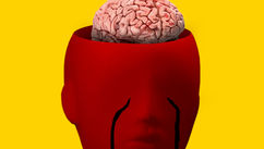 Why Emotional Intelligence Outshines IQ In Defining Success