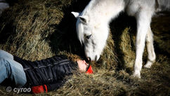 Can You Recover from Mental and Physical Abuse?